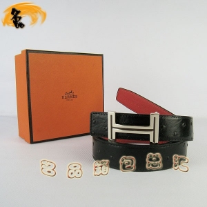 451 ¿ RпƤ HermesƤ Hermes rByt ȿ3cm