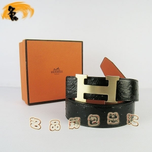 361 ¿ (i)RпƤ HermesƤ Hermes rB(nio)y 3.8cm