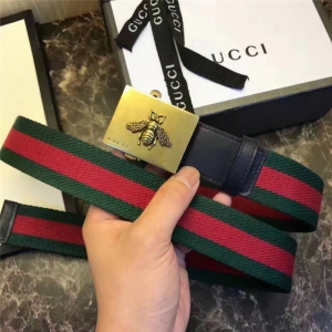 Gucci Y پW(wng)ͬ ƴƤ ʿ ۷䎧