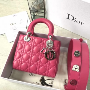 Dior LADY DIORСƤ 2017¿ϊW´ õtɫ