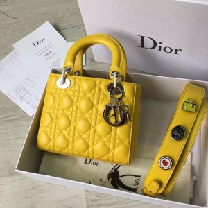 Dior LADY DIORСƤ 2017¿ϊW´ Sɫ