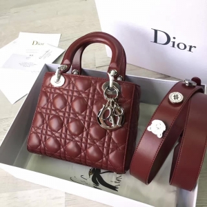 Dior LADY DIORСƤ 2017¿ϊW´ tɫ