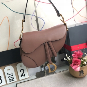M0446 Dior SaddleСţƤ DiorR DiorŮ ɳɫ