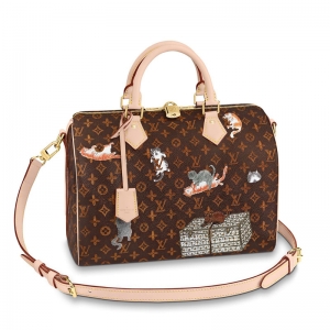 M44401 LV SPEEDY 30 ִ玧LVŮ Catogram DŮ LV^