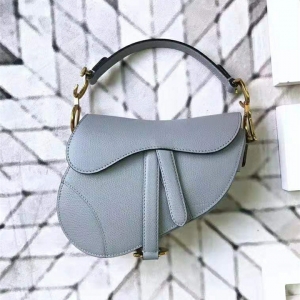 M0447 DiorŮ 2019 SaddleR СţƤ ϊW F{(ln)