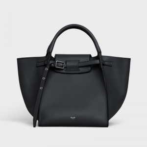 Celine BIG BAGС̖(ho)L(zhng)玧⻬СţƤִ Celine ɫ