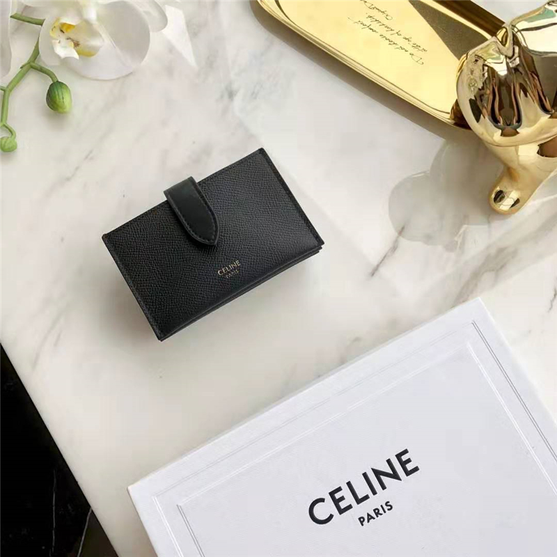 10B693 Celineِտ СţƤ CelineL(fng)޿ ɫ 