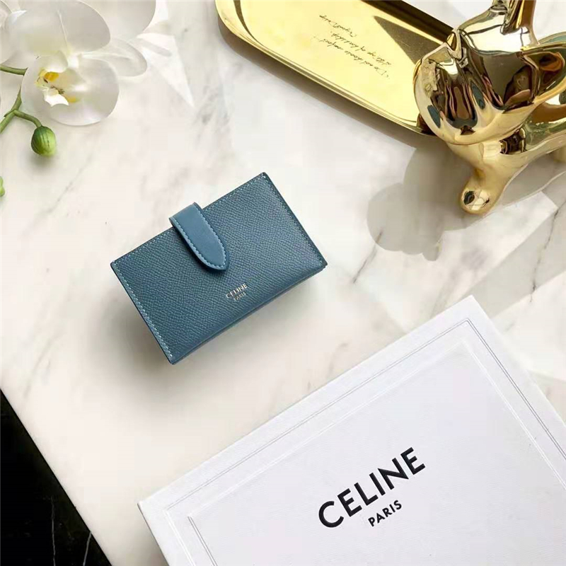 10B693 Celineِտ СţƤ CelineL(fng)޿ F{(ln)