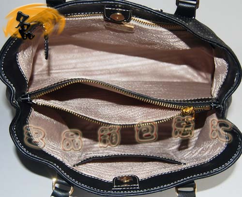 29150 Prada ¿ _(jng)W(wng)ƤreŮ 