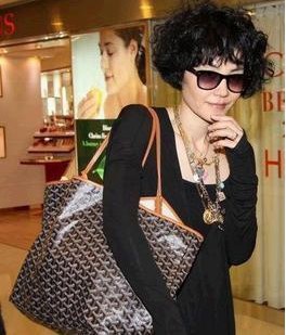 2376 ̖(ho) Goyard ¿ r(sh)Ůʿ  Ů Goyard μ