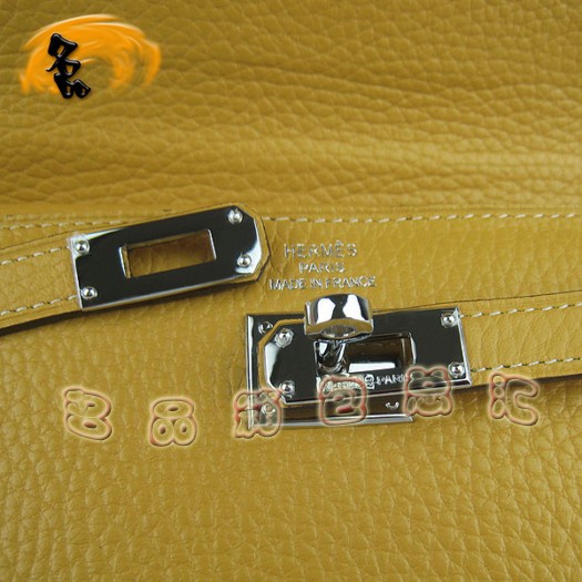 H009 Hermes(jng) Kellyϵ ֦yŮ Rð HermesX Sɫ