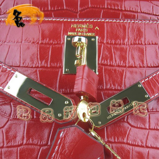 6108 Hermes¿{~(y)y б Hermes KellyϵŮʿ tɫ