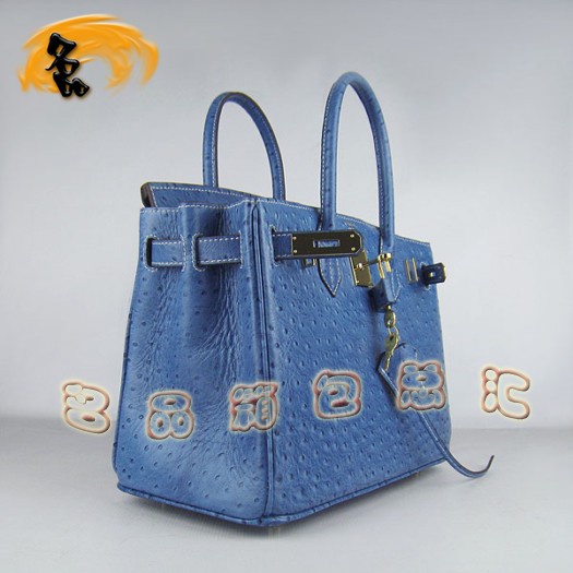 6088 (i)RŮ Hermes Birkin K Hermes rB(nio)y {(ln)ɫ