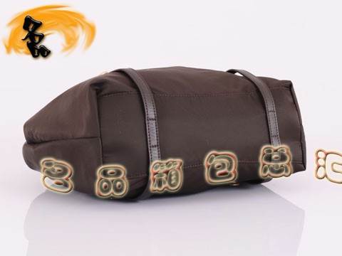 BR3919  Pradae ˮŮ _(d)μ  ɫ