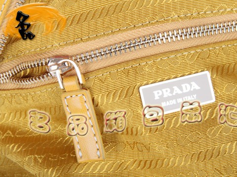 BR0652 Pradae ¿r(sh)e W(wng)ƤŮ _(d) Sɫ
