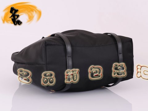 BR3919  Pradae _(d)μ ˮŮ  ɫ