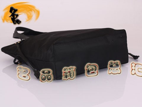 BR4022  Pradae _μ  ˮŮ ɫ
