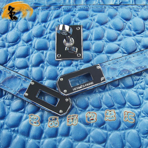 H008 ¿HermesŮ  R Hermes Kelly Bag P ʯ^y \{(ln)ɫ
