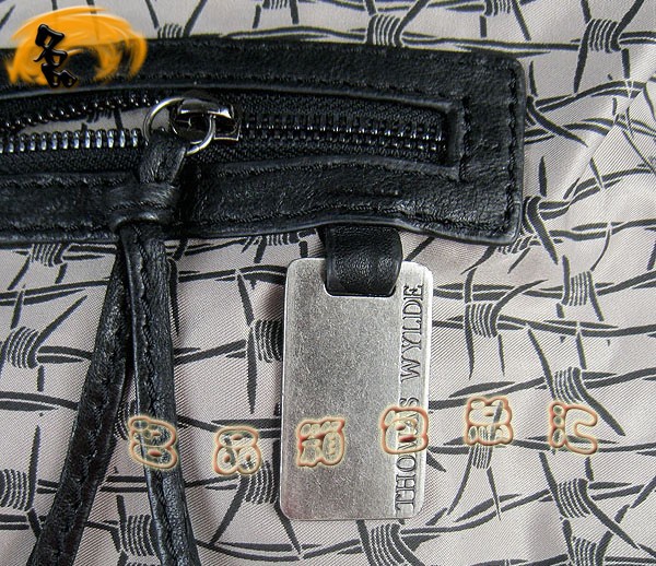 0155   ȫƤrŮ t^μ R˹¿μ THOMAS WYLDE