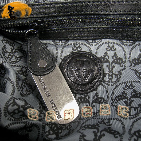 1838  THOMAS R˹¿μ ȫƤrŮ t^ THOMAS WYLDE