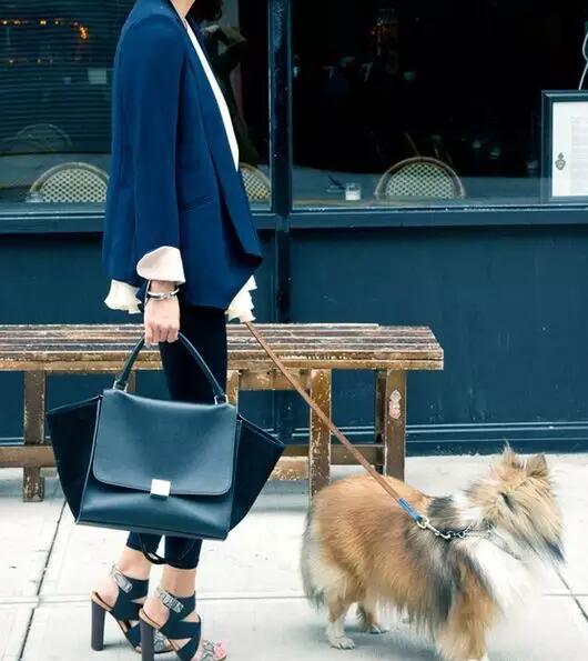CELINE˼ֵIİBox, ЦĘǧĂrͶֹr